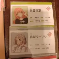 【25日まで値下げ】キャラクターカードセット　プロフィール　学マス