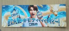 クーリッシュ　ジェシー　パネル