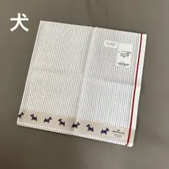 赤×白×ブルー使いが 夏✨爽やかわイイ〜わんこハンカチ♪