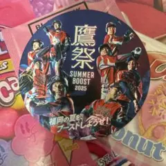 鷹祭コースター