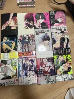 ボーイズラブ BL 12巻セット
