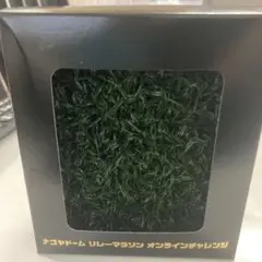 【レア】ナゴヤドームリレーマラソン人工芝 ボックス入り
