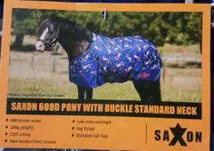 Item thumbnail for item 2a25516e-94a5-422b-bd46-ed535e655898