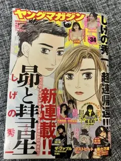 週刊ヤングマガジン バックナンバー 2025年No.34 漫画雑誌 奥村桃夏
