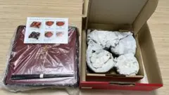 Item thumbnail for item 1f0570a2-1a10-40b9-9b32-0b787d0761f9