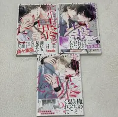 先生を暴きたい 全3巻セット うすいしっぽ
