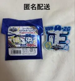 オールスターゲーム　日本ハムファイターズ アクリルネームバッチ　田中正義