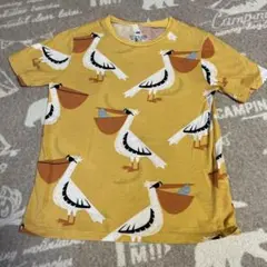 H&M ペリカン柄　Tシャツ　110/116