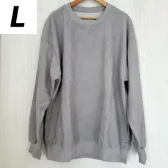❣️未使用品❣️メンズ トレーナー L プルオーバー アメカジ 大きめ 秋冬