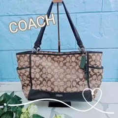 極美品　COACH コーチ バッグ 極美品✨COACH コーチ ハンドバッグ ブラック 2way 金馬車