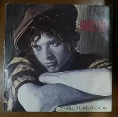 SIMPLY RED picture book　シンプリーレッド　レコード