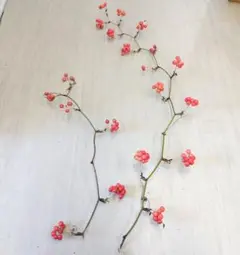 Item thumbnail for item 3e216bd3-186c-4a62-8007-0cbfe5a672ef