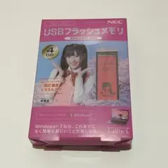 【非売品】AKB48 渡辺麻友 USBメモリ 4GB NEC 景品