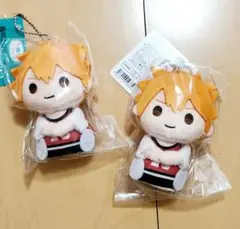 ハイキュー 指の上シリーズ 日向 ビブス 2点セット