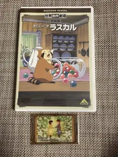【新品未開封】世界名作劇場 完結版 あらいぐまラスカル DVD