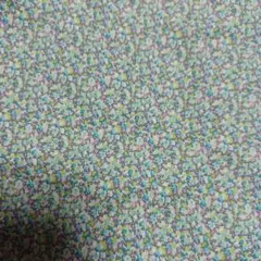 リバティ　タナローン