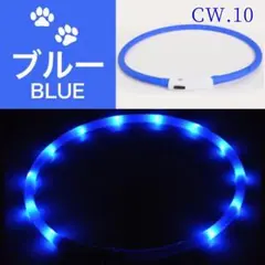 Item thumbnail for item c68eaecd-bdf2-4c54-9daa-4867f4a6f13a