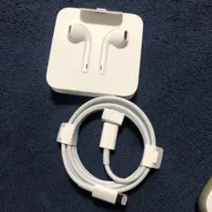 純正iPhone イヤホンUSB-C to Lightningケーブル2点セット
