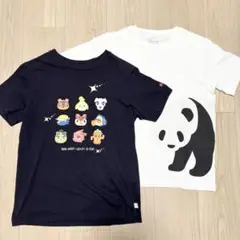 Tシャツ 2枚セット　GAP 無印良品　MUJI 150