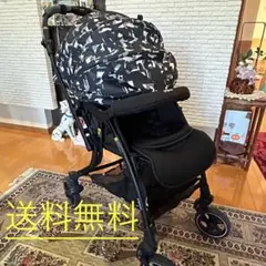 【送料込み】 ベビーカーA型　ピジョン　ランフィリノン RA9L フック2個付き