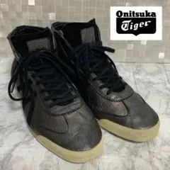 Item thumbnail for item 1c65190b-fa78-49e7-87bb-21e109ae1a7c