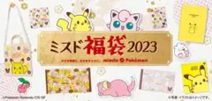 2点セット ミスド福袋2023 グッズのみ 2400円の分×2