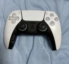 Item thumbnail for item 6bf18903-b91f-4d8c-977a-423efacac37a
