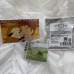 世界名作劇場POPUP あらいぐまラスカル アクリルキーホルダー　カードつき