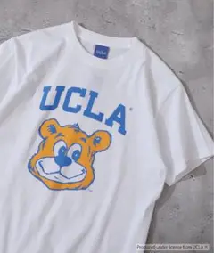 UCLA クマイラスト Tシャツ ホワイト