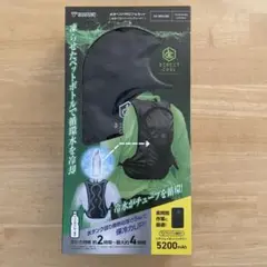 Item thumbnail for item 63cc3d68-2b02-41c0-9664-3fb7e002756f