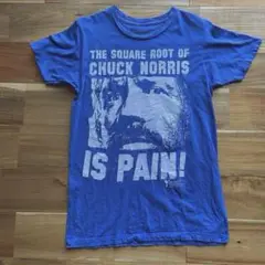 古着 チャック・ノリス プリントTシャツ くすみブルー 青 S