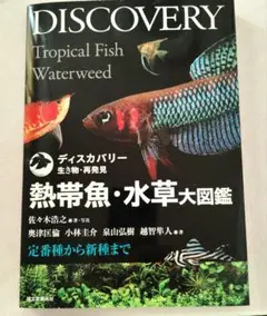 熱帯魚・水草大図鑑 : 定番種から新種まで 熱帯魚・水草大図鑑: 定番種から新種まで (ディスカバリー生き物