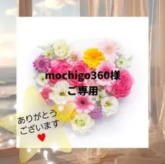 mochigo360様 ご専用⭐