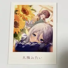 プロセカ 劇場版 映画 特典 チェキ 宵崎奏 望月穂波