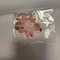 さくら前線 ダウト幸樹　花見桜こうき　アクリルストラップ