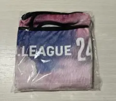dリーグ　ブランケット　24-25シーズン　スタンプラリー7回目達成景品　①