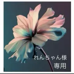 れんちゃん様　専用