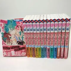 顔だけじゃ好きになりません 1〜14巻セット