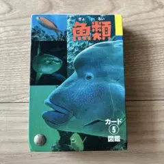 カード図鑑　魚類
