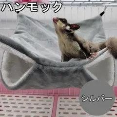 Item thumbnail for item 390856a2-ee57-41e7-a112-5480f7c26140