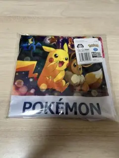 ポケモン　プラチナムザッカTシャツ