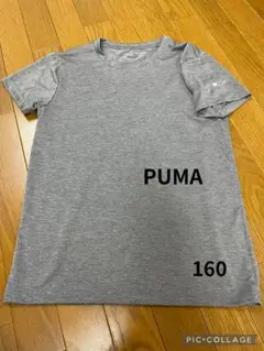 PUMA Tシャツ160