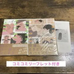 あした愛かもしれない　2巻セット　山下街　コミコミリーフレット付き