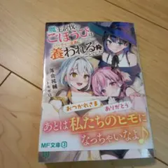 魔王討伐のごほうびはパーティー全員に養われることでした　ライトノベル　小説