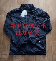 Item thumbnail for item 881571cf-d0bb-4c44-be6a-e29fccd589c4