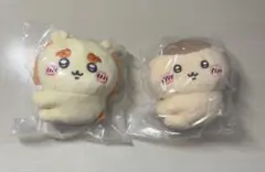 Item thumbnail for item 92d52562-784c-452b-9d90-cf699a82eada