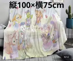 ディズニー　SPRING ダッフィーフレンズ　ブランケット
