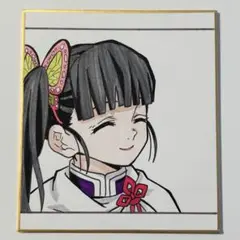 鬼滅の刃 栗花落カナヲ 色紙 手描きイラスト ファンアート