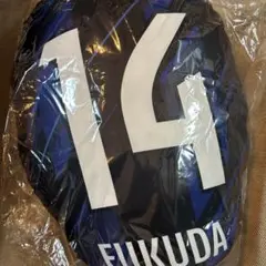 福田湧矢