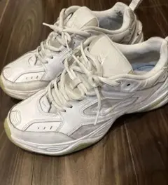 NIKE M2Kテクノ 27せんち